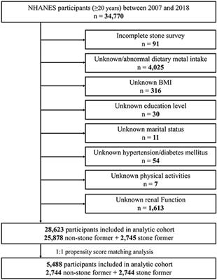 Dietary copper intake and the prevalence of kidney stones among adult in the United States: A propensity score matching study